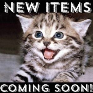 What kind of items would you like to see first ?